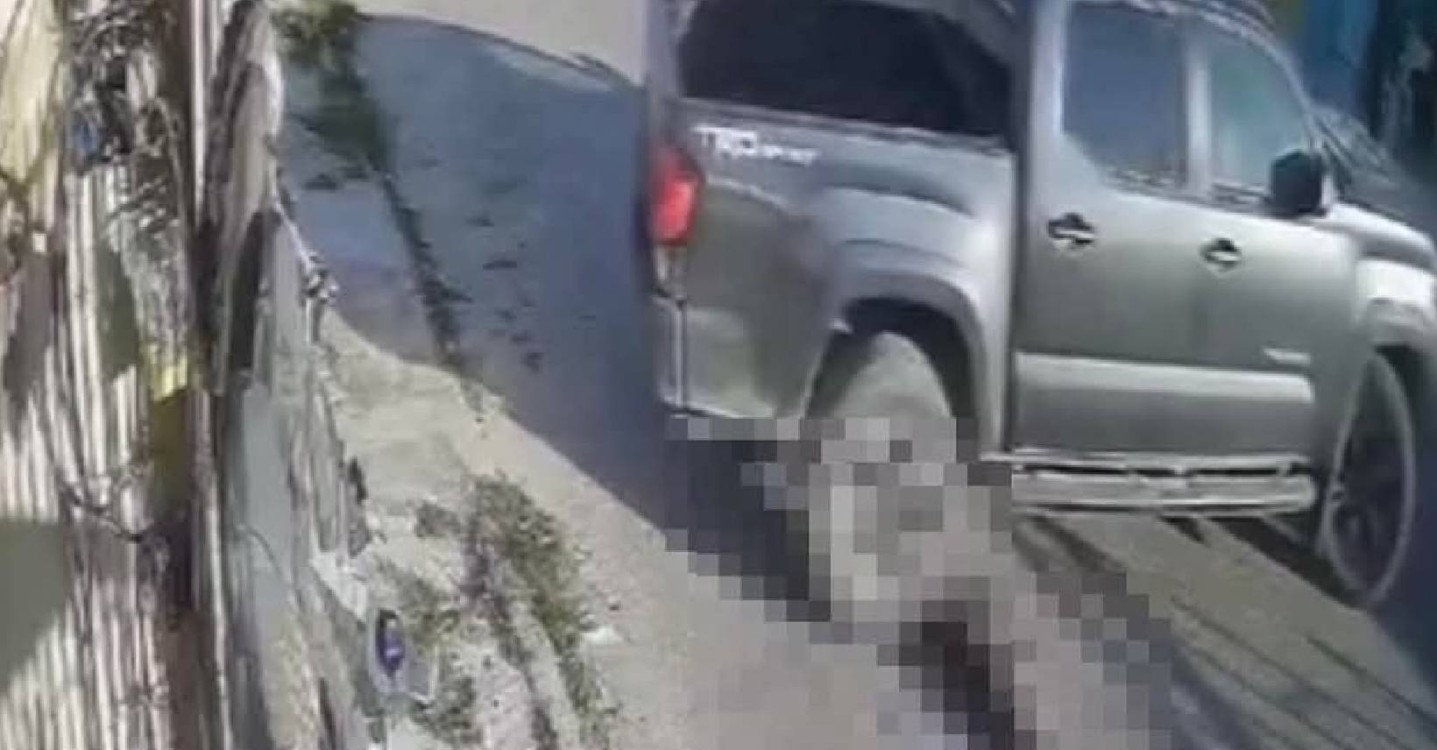 Impactantes imágenes de la crueldad animal en Yucatán