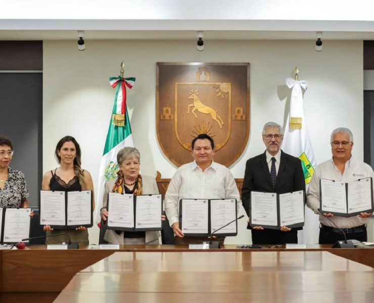 Importancia de la Estrategia de reforestación en Yucatán