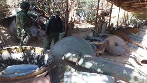 Miembros de las Fuerzas Armadas durante el operativo que desmanteló 26 laboratorios clandestinos en Sinaloa, como parte de un gran golpe al narcotráfico en dos días.