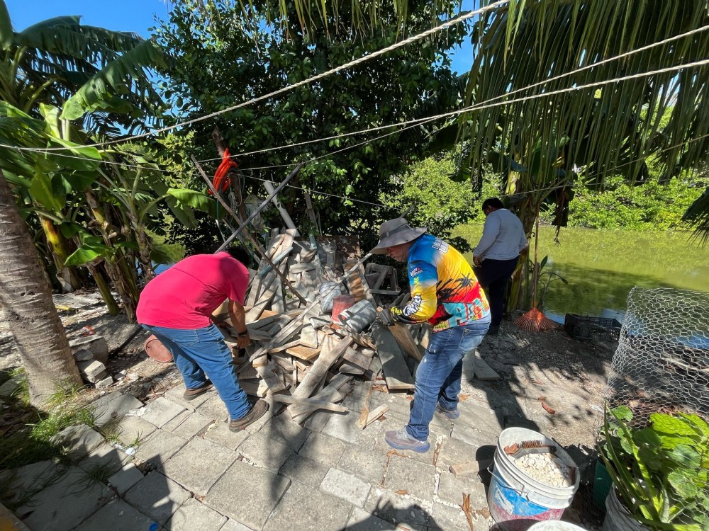 Recuperan espacios a orillas de arroyos y manglares invadidos