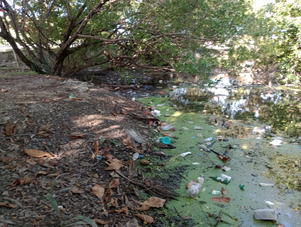 Arroyos y manglares contaminados de basura