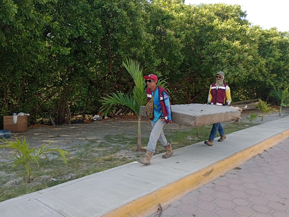 Basura en manglares y arroyos por falta de educación ambiental