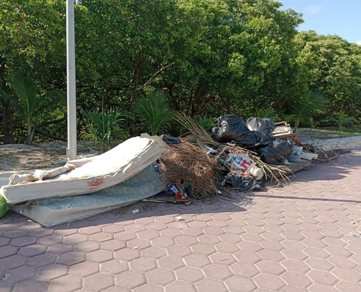 Basura en manglares y arroyos por falta de educación ambiental