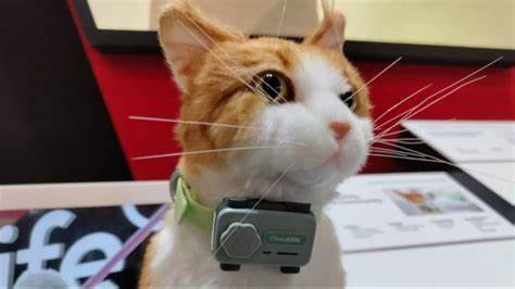 ¿Cómo funciona un teléfono para mascotas?