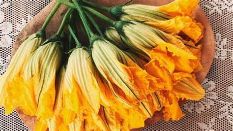 Beneficios de Comer Flor de Calabaza para la Salud