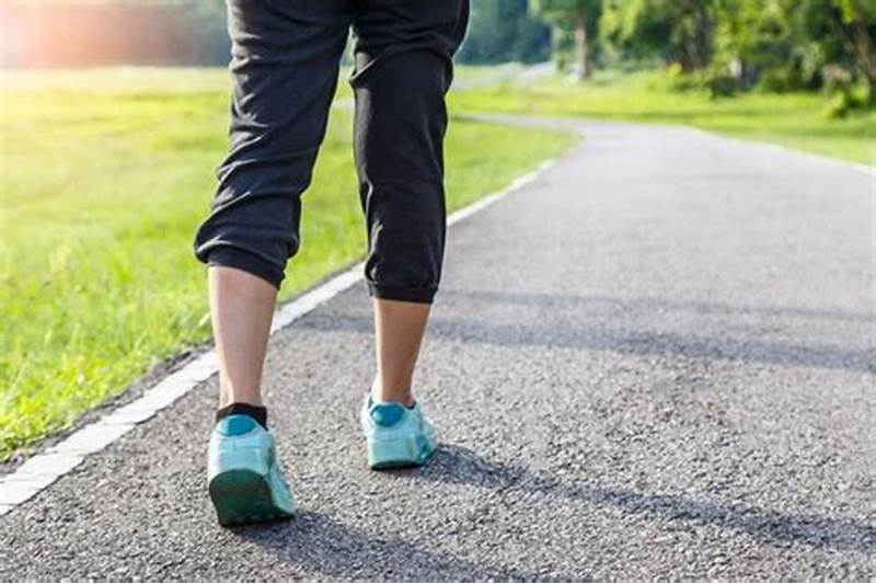 Expertos hablan sobre la caminata ¿Cuánto debo caminar?