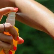 Los Mejores Repelentes de Insectos Caseros y Naturales