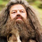 ¿Tenemos nuevo Hagrid? Sorpresa en la serie de Harry Potter