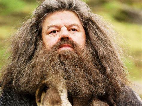 ¿Tenemos nuevo Hagrid? Sorpresa en la serie de Harry Potter