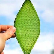 La primera hoja biológica artificial que revolucionará el futuro