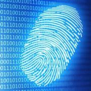 ¿Cómo funciona un lector de huella? Descubre está tecnología