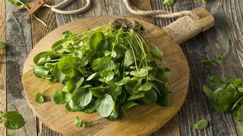 El Berro: El alimento más saludable del mundo