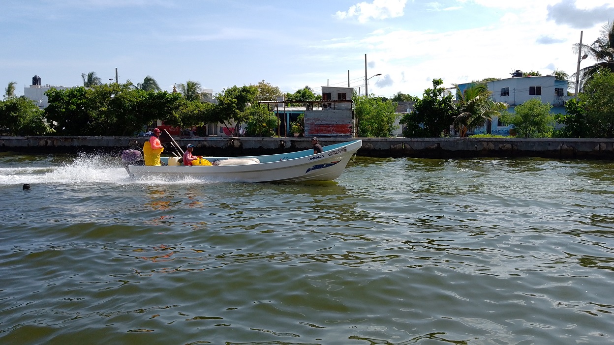 Sobreexplotación provoca descenso de escama