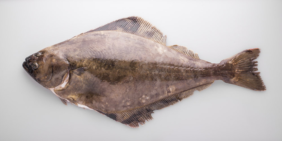 Hipogloso y Bacalao: Proteínas Magras y Beneficiosas