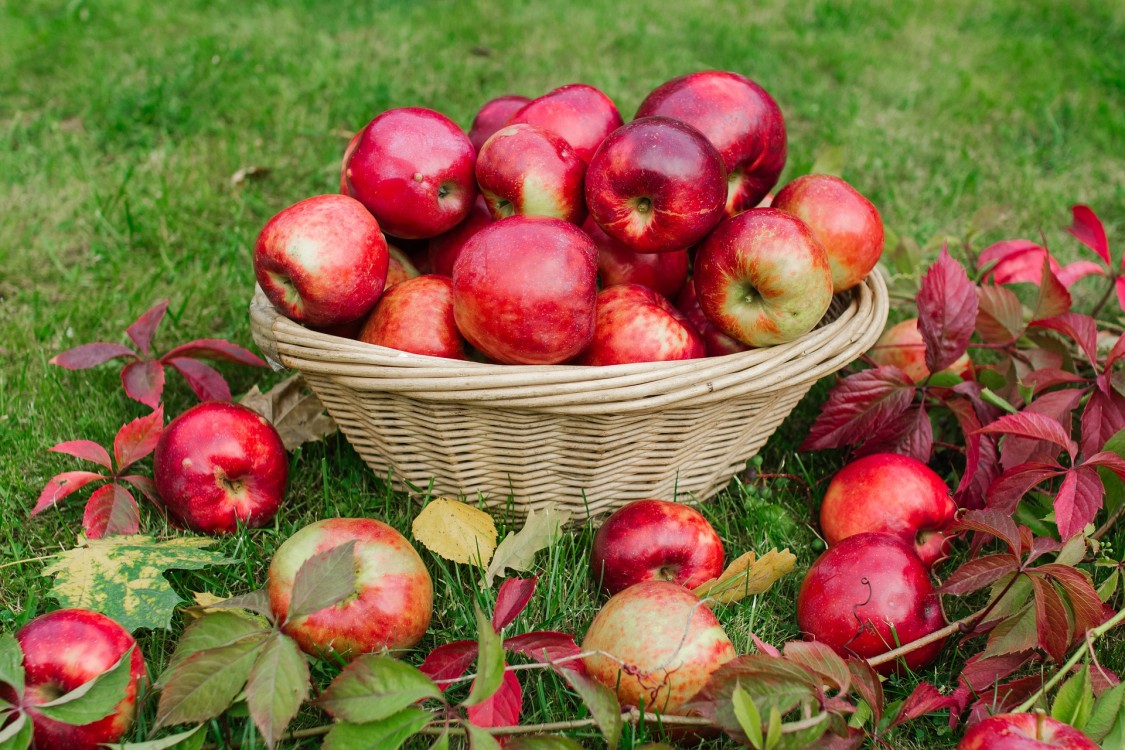 Los 5 Beneficios de Comer Manzana que Cambiarán tu Vida