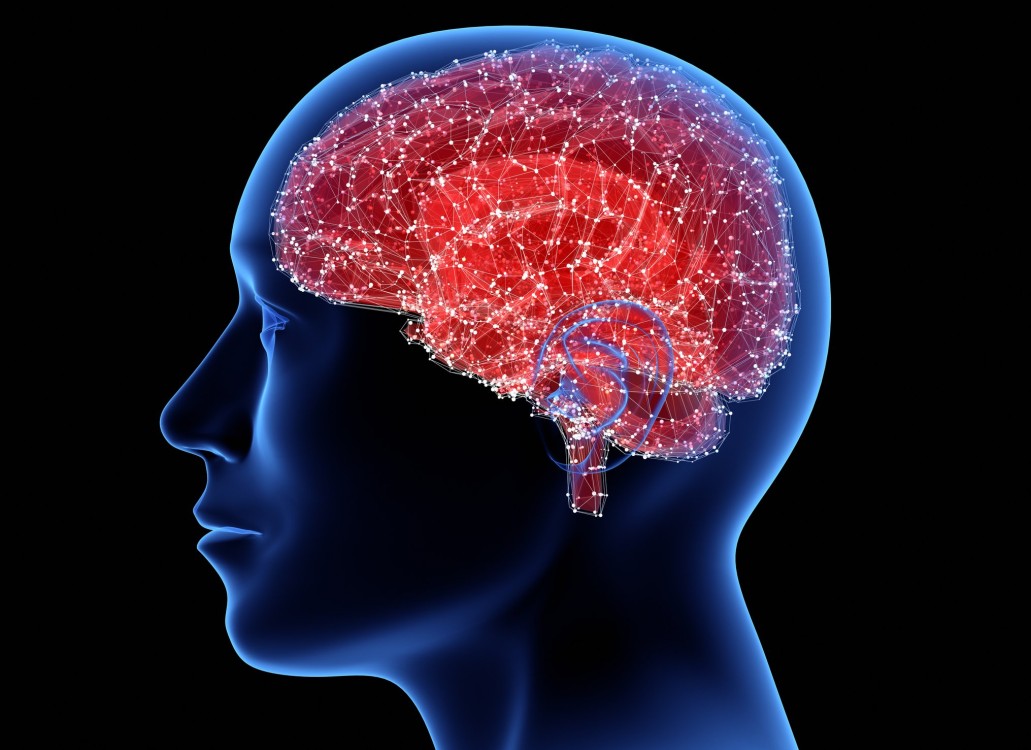 Identifican una nueva célula cerebral que lo cambiará todo