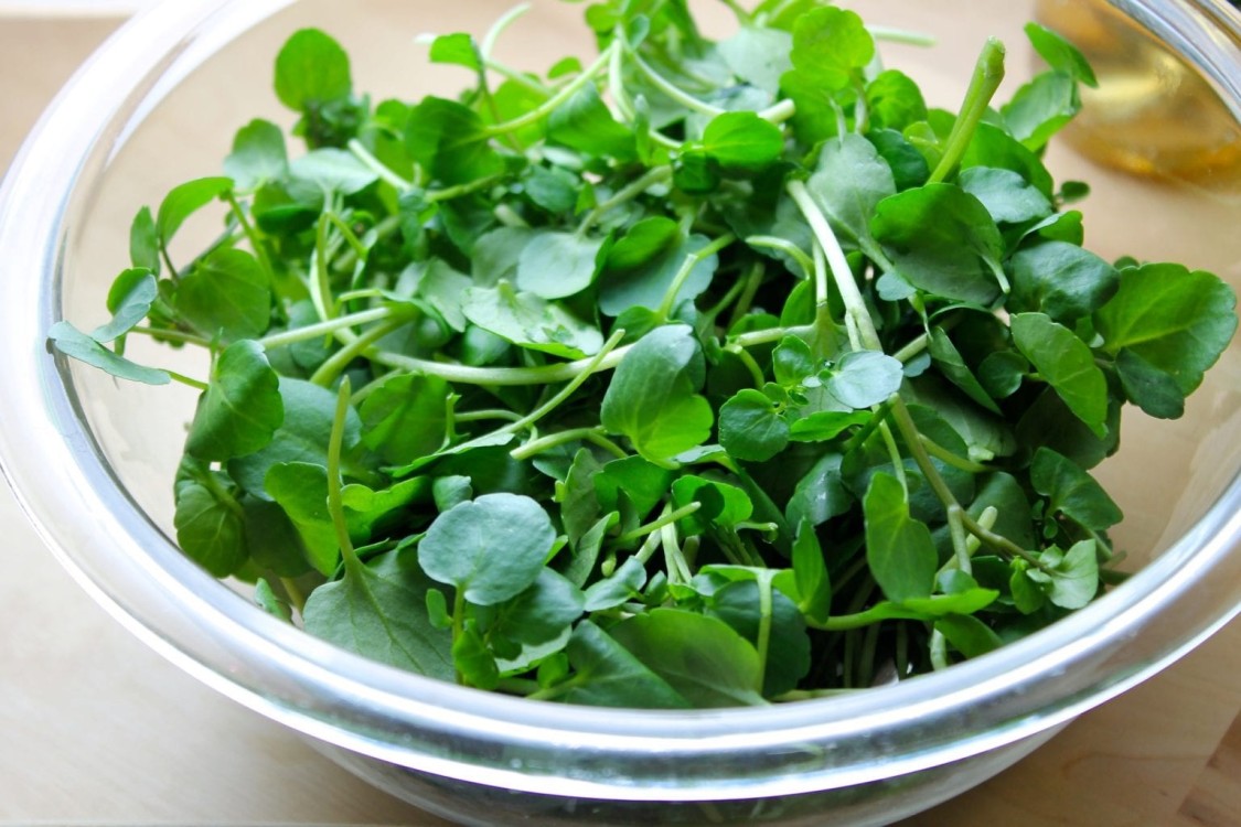 ¿Por qué incluir el berro en tu dieta diaria?