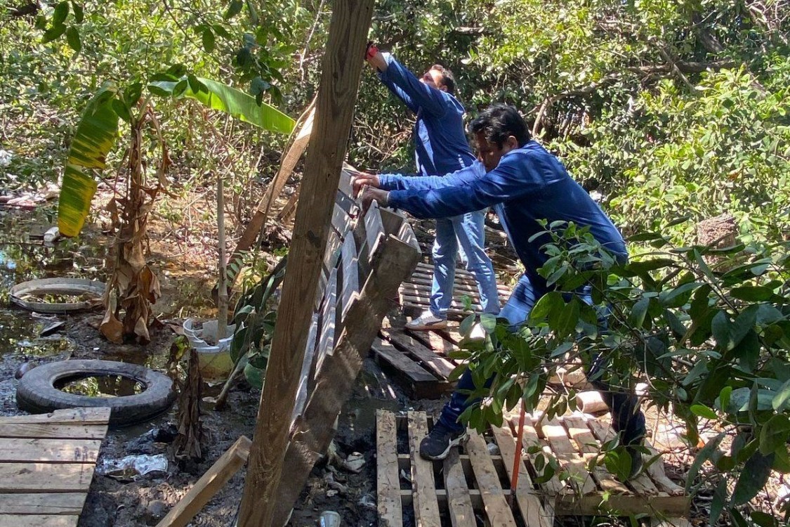 Recuperan espacios a orillas de arroyos y manglares invadidos
