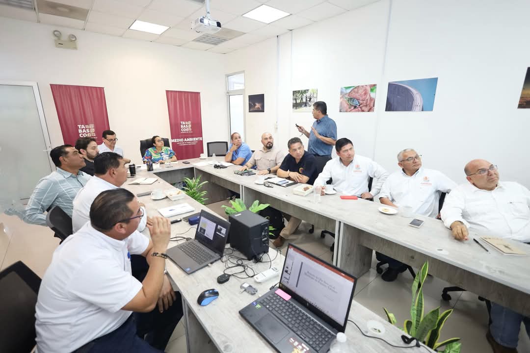 protegerá los manglares en Paraíso