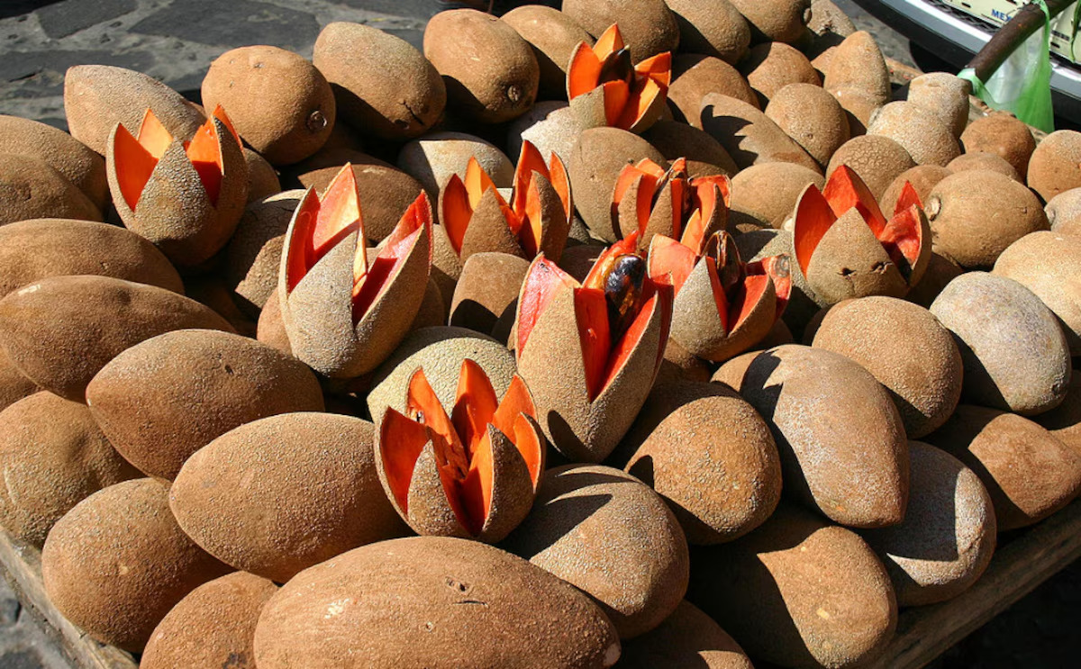 Beneficios del mamey para la piel y el sistema inmune