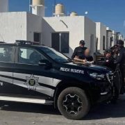 Sigue el maltrato animal en Kanasín un caso que conmociona