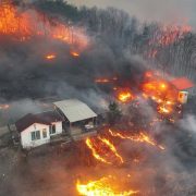 ¡Tragedia en Corea del Sur! Suben a 26 la cifra de fallecidos por incendios forestales masivos