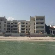 Voracidad y devastación por la “plaga, de la mafia inmobiliaria”, en Chicxulub