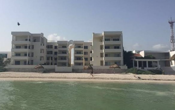 Voracidad y devastación por la “plaga, de la mafia inmobiliaria”, en Chicxulub