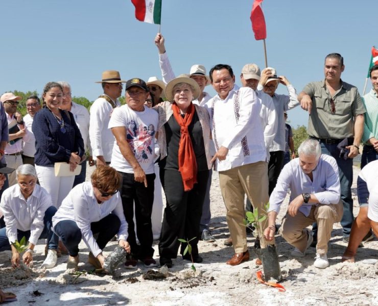 Unidos por la reforestación y conservación de manglares en Yucatán