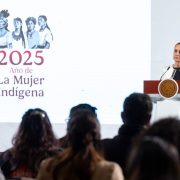 Sheinbaum destaca coordinación con EE.UU. tras decomiso de armas en frontera