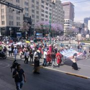 Comunidades Indígenas en CDMX Exigen Transparencia para la Preservación de sus Lenguas