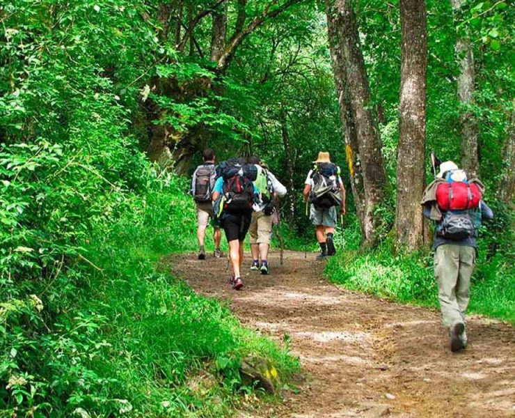 5 Beneficios del Senderismo Que Transformarán Tu Salud