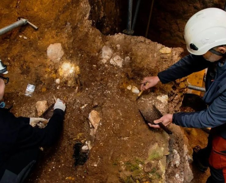 Descubren el rostro humano más antiguo de Europa