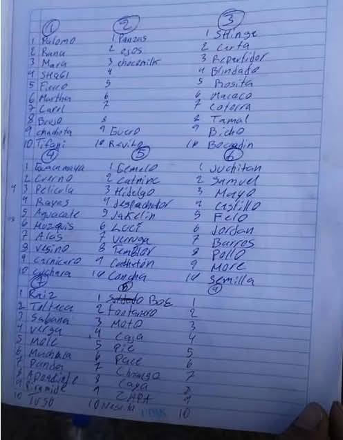 hallazgo de crematorios clandestinos en Teuchitlán