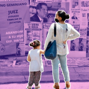 Qué es la Ley Sabina