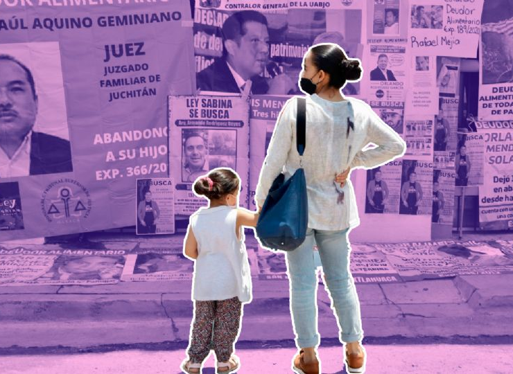 Qué es la Ley Sabina