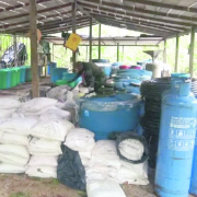 CJNG con un narcolaboratorio en Kenia