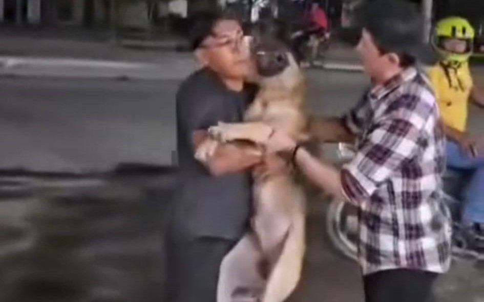 Investigan maltrato animal en Escárcega