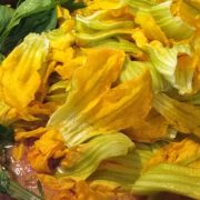 Los Beneficios de Comer Flor de Calabaza. Transforma tu Salud