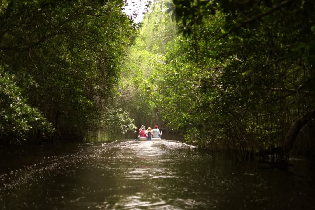 trabajos de saneamiento del Río Seco