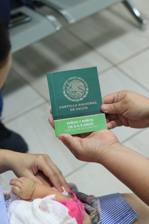 vacunación contra enfermedades de temporada