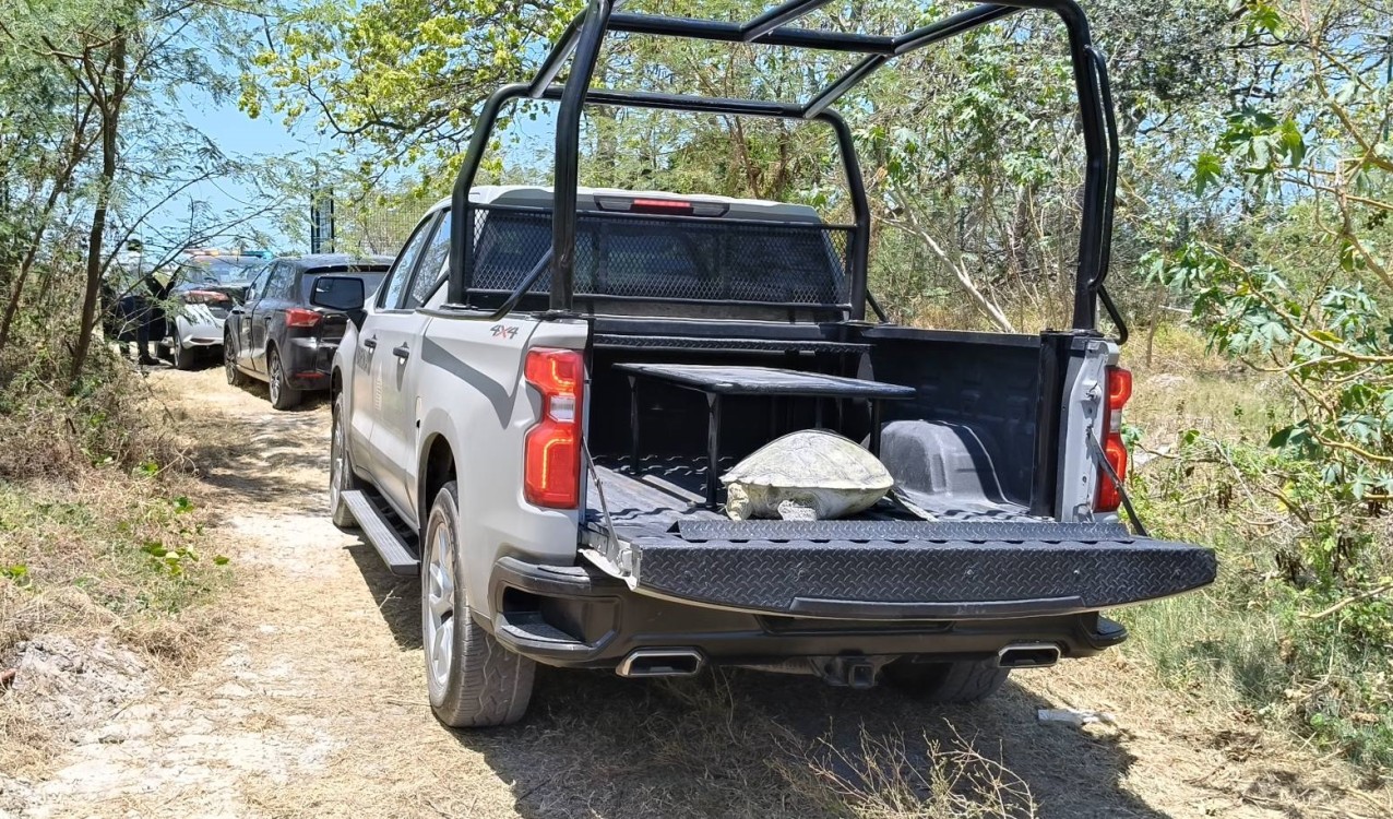 Rescatan el cuerpo sin vida de una tortuga blanca