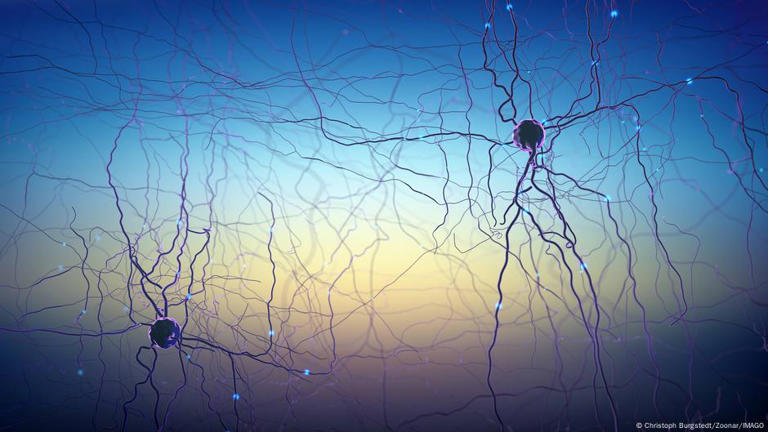 Científicos creen poder apagar el miedo: Un descubrimiento clave