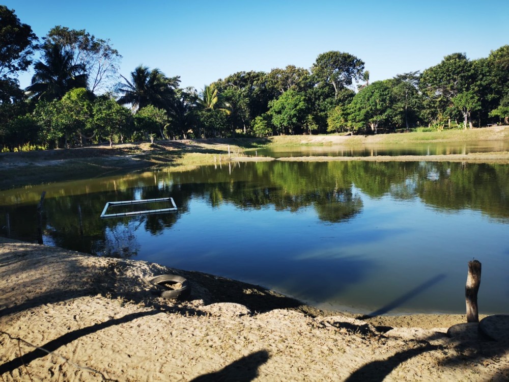 Mueren más mojarras en estanques rústicos por calentamiento del agua