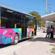 Comuna debe cumplir con la ley del transporte del estado