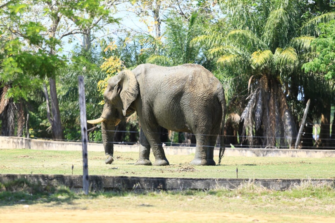 Área Natural del Yumka