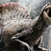 El destino del Espinosaurio te dejará sin palabras. De ser un dinosaurio a un hongo