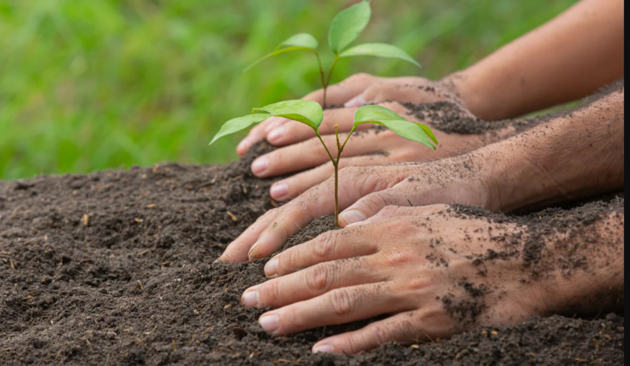 La importancia de este día en la actualidad