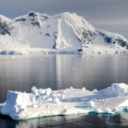 ¡Científicos hallan extrañas criaturas marinas que parecen de otro planeta!