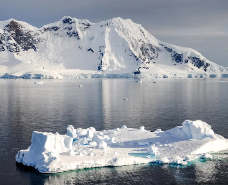 ¡Científicos hallan extrañas criaturas marinas que parecen de otro planeta!